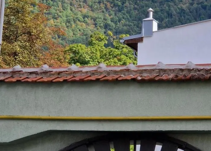 公寓 Casa Brancoveanu