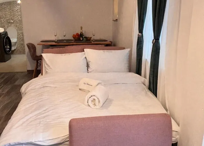 公寓 Casa Brancoveanu 布拉索夫