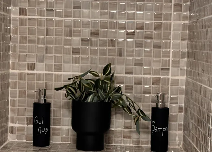 公寓 Casa Brancoveanu