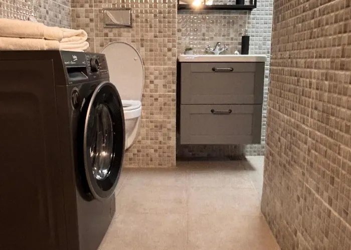 公寓 Casa Brancoveanu